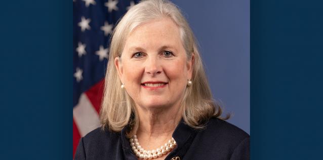 副部长Diane Farrell